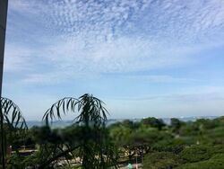 Blk 33 Marine Crescent Ville (Marine Parade), HDB 3 Rooms #595175951